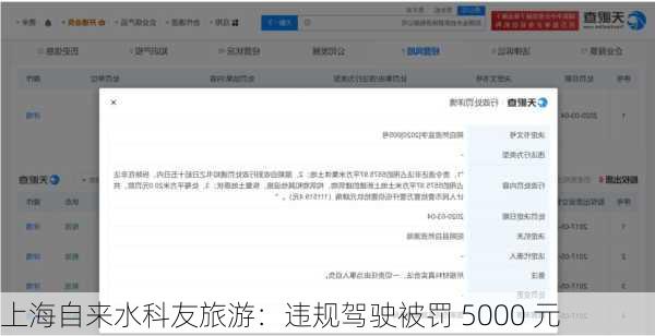 上海自来水科友旅游：违规驾驶被罚 5000 元