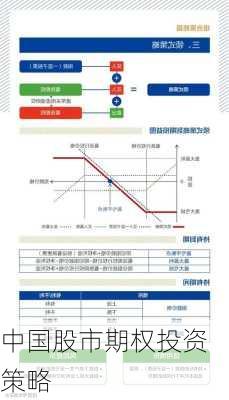 中国股市期权投资策略