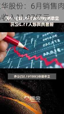 立华股份：6月销售肉鸡收入11.97亿元