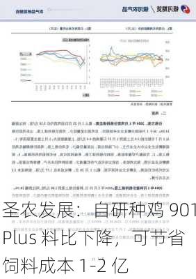 圣农发展：自研种鸡 901Plus 料比下降，可节省饲料成本 1-2 亿