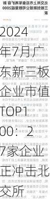 2024年7月广东新三板企业市值TOP100：27家企业正冲击北交所