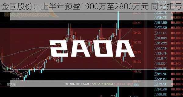 金固股份：上半年预盈1900万至2800万元 同比扭亏