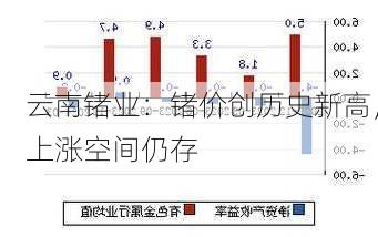 云南锗业：锗价创历史新高，上涨空间仍存