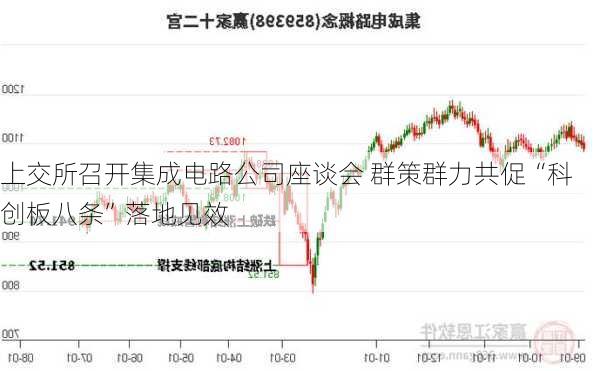 上交所召开集成电路公司座谈会 群策群力共促“科创板八条”落地见效