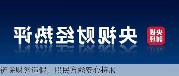 铲除财务造假，股民方能安心持股