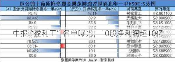 中报“盈利王”名单曝光，10股净利润超10亿