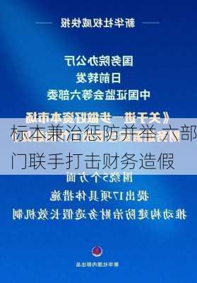 标本兼治惩防并举 六部门联手打击财务造假