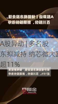 A股异动 | 多名股东拟减持 纳芯微大跌超11%