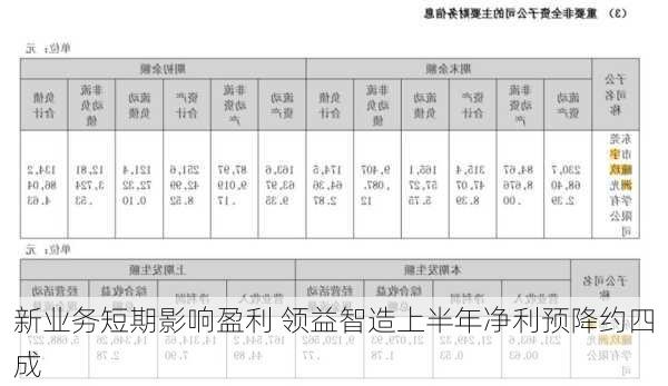 新业务短期影响盈利 领益智造上半年净利预降约四成