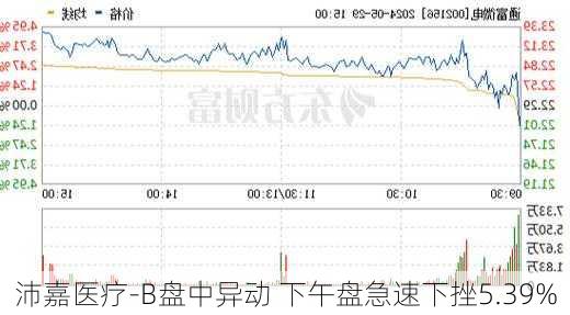 沛嘉医疗-B盘中异动 下午盘急速下挫5.39%