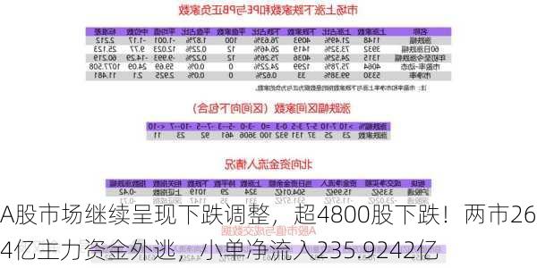 A股市场继续呈现下跌调整，超4800股下跌！两市264亿主力资金外逃，小单净流入235.9242亿