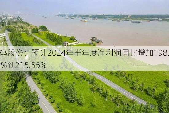 仙鹤股份：预计2024年半年度净利润同比增加198.94%到215.55%