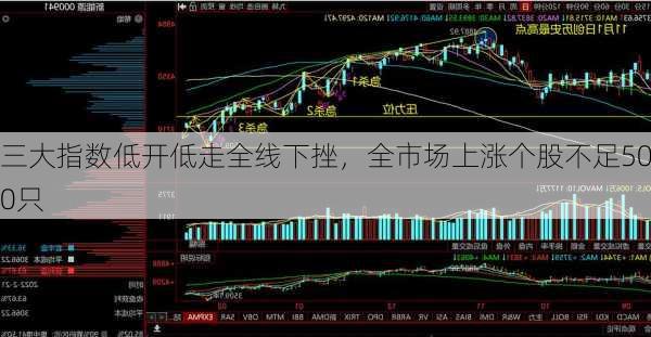 三大指数低开低走全线下挫，全市场上涨个股不足500只