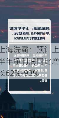 上海洗霸：预计上半年净利润同比增长62%-93%