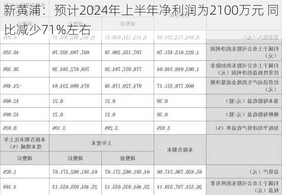 新黄浦：预计2024年上半年净利润为2100万元 同比减少71%左右