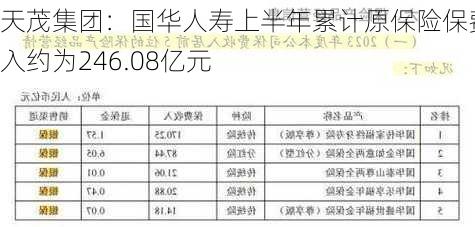 天茂集团：国华人寿上半年累计原保险保费收入约为246.08亿元