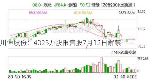 川恒股份：4025万股限售股7月12日解禁