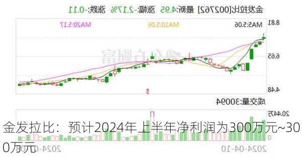 金发拉比：预计2024年上半年净利润为300万元~300万元