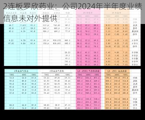 2连板罗欣药业：公司2024年半年度业绩信息未对外提供