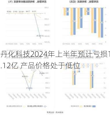 丹化科技2024年上半年预计亏损1.12亿 产品价格处于低位