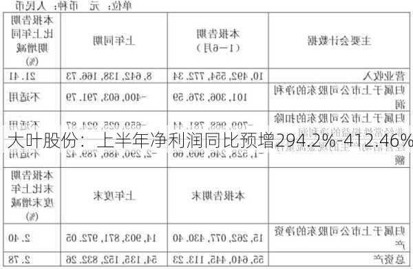 大叶股份：上半年净利润同比预增294.2%-412.46%