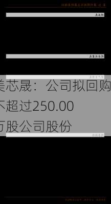 美芯晟：公司拟回购不超过250.00万股公司股份