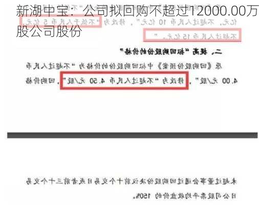 新湖中宝：公司拟回购不超过12000.00万股公司股份