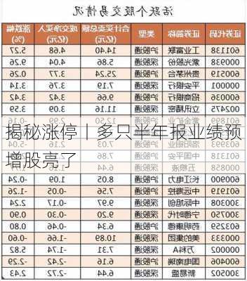 揭秘涨停丨多只半年报业绩预增股亮了