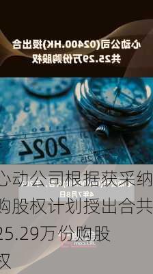 心动公司根据获采纳购股权计划授出合共25.29万份购股权