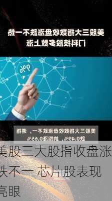 美股三大股指收盘涨跌不一 芯片股表现亮眼