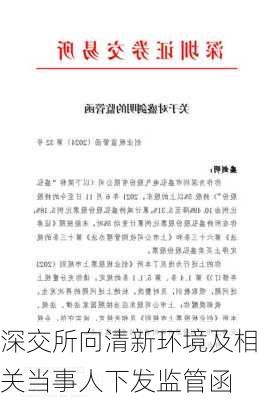 深交所向清新环境及相关当事人下发监管函