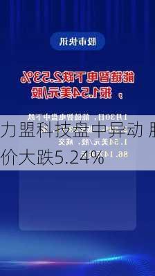 力盟科技盘中异动 股价大跌5.24%