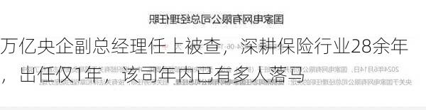 万亿央企副总经理任上被查，深耕保险行业28余年，出任仅1年，该司年内已有多人落马