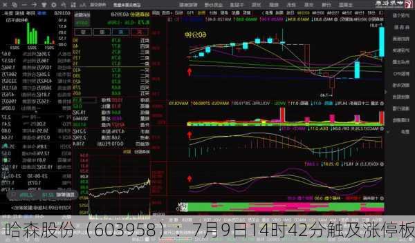 哈森股份（603958）：7月9日14时42分触及涨停板