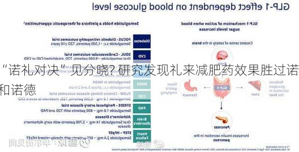 “诺礼对决”见分晓? 研究发现礼来减肥药效果胜过诺和诺德