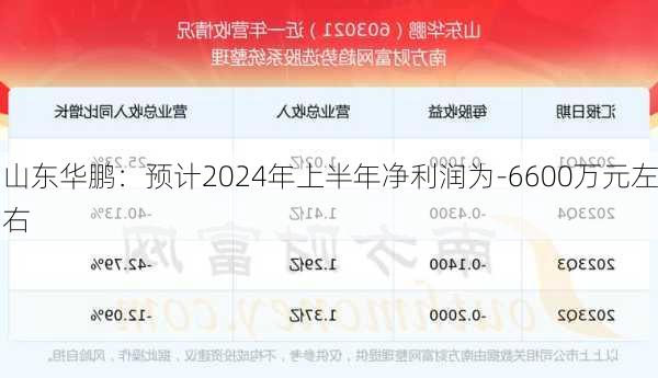 山东华鹏：预计2024年上半年净利润为-6600万元左右