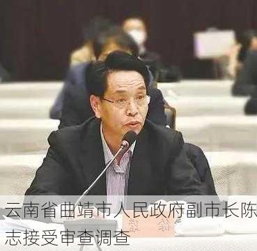 云南省曲靖市人民政府副市长陈志接受审查调查