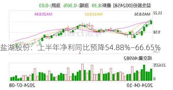 盐湖股份：上半年净利同比预降54.88%—66.65%