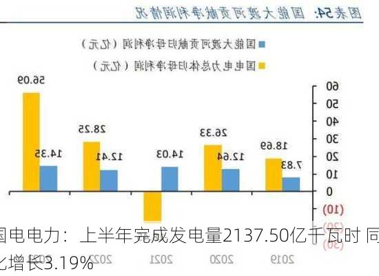 国电电力：上半年完成发电量2137.50亿千瓦时 同比增长3.19%