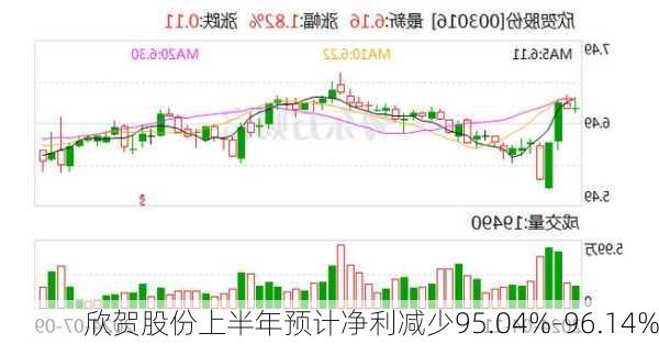 欣贺股份上半年预计净利减少95.04%-96.14%