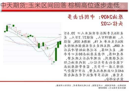 中天期货:玉米区间回落 棕榈高位逐步走低