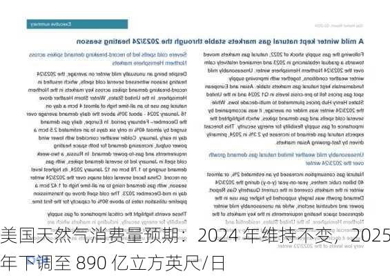 美国天然气消费量预期：2024 年维持不变，2025 年下调至 890 亿立方英尺/日