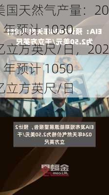 美国天然气产量：2024 年预计 1030 亿立方英尺/日，2025 年预计 1050 亿立方英尺/日