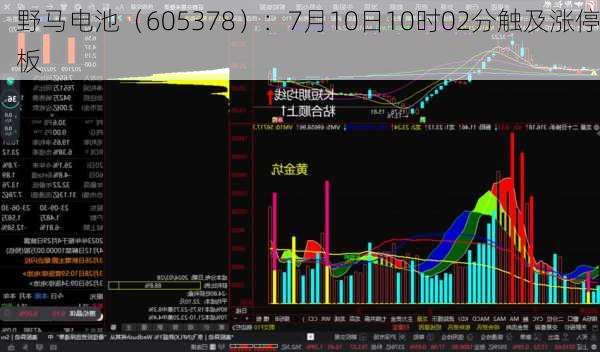 野马电池（605378）：7月10日10时02分触及涨停板