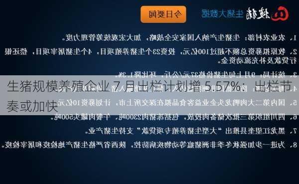 生猪规模养殖企业 7 月出栏计划增 5.57%：出栏节奏或加快