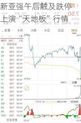 新亚强午后触及跌停 上演“天地板”行情