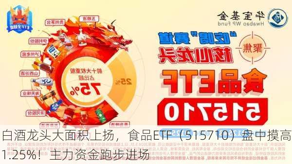 白酒龙头大面积上扬，食品ETF（515710）盘中摸高1.25%！主力资金跑步进场