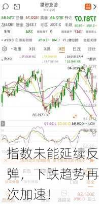 指数未能延续反弹，下跌趋势再次加速！