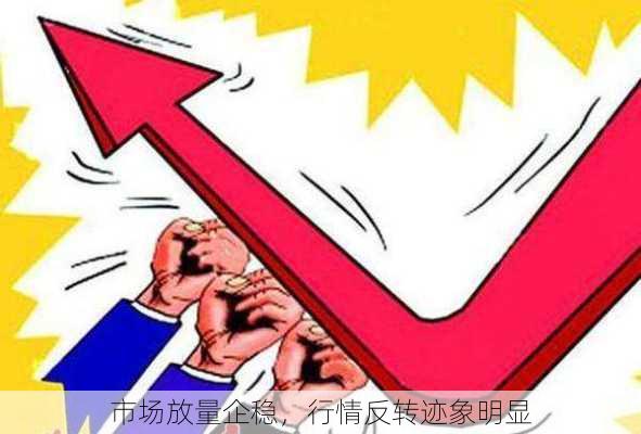 市场放量企稳，行情反转迹象明显