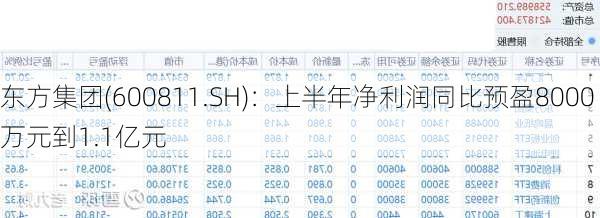 东方集团(600811.SH)：上半年净利润同比预盈8000万元到1.1亿元